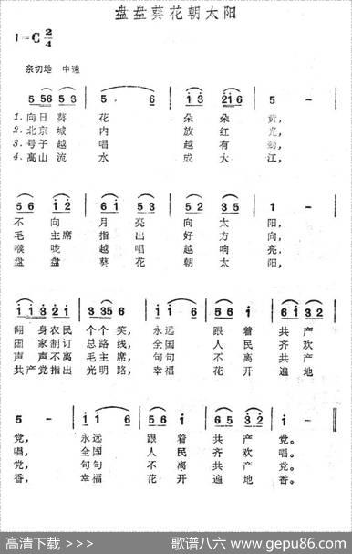 盘盘葵花朝太阳