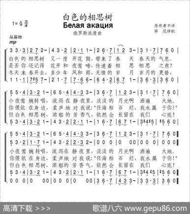 [俄]白色的相思树
