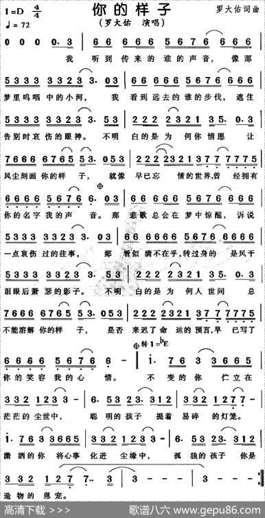 你的样子 - 罗大佑|罗大佑