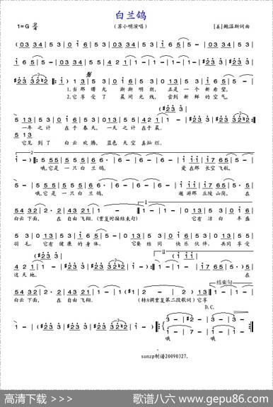 白兰鸽