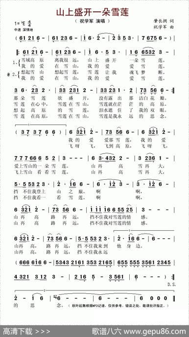 山上盛开一朵雪莲 - 肇长拥|祝学军