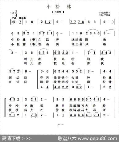 小松林（二重唱） - 林嗣丰|于凤瀛