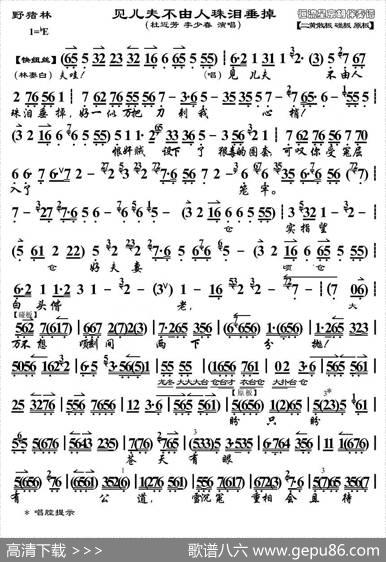 见儿夫不由人珠泪垂掉（《野猪林》选段）