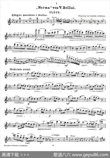 Opern-Transcriptionen.Op.45-2（长笛+钢琴伴奏）