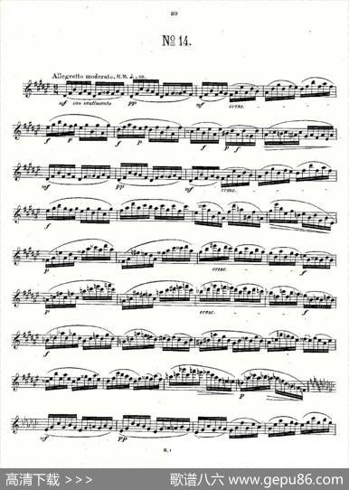 24首长笛练习曲Op.15之11—15|Andersen、（安德森）
