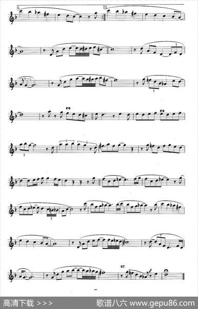 哈雷姆夜曲