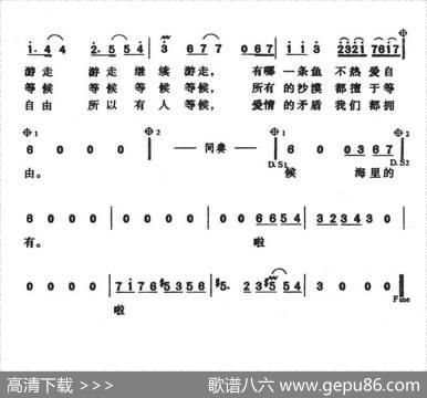 热带鱼和仙人球 - 文雅|董赫男
