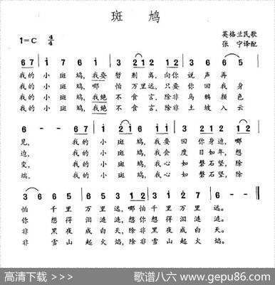 斑鸠（英格兰民歌）