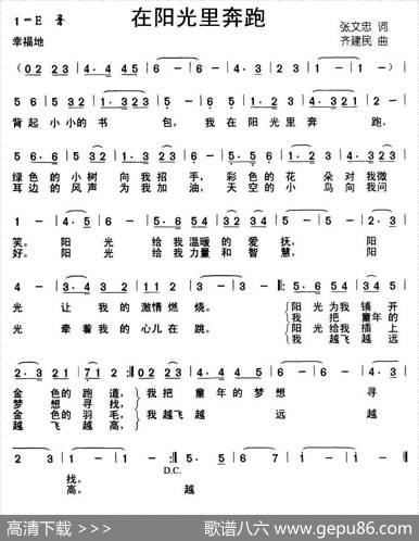 在阳光里奔跑（张文忠词齐建民曲） - 张文忠|齐建民