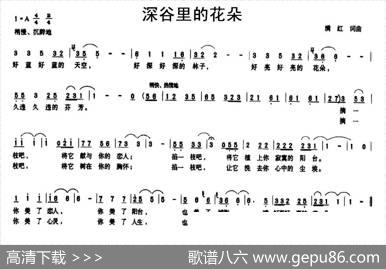 深谷里的花朵