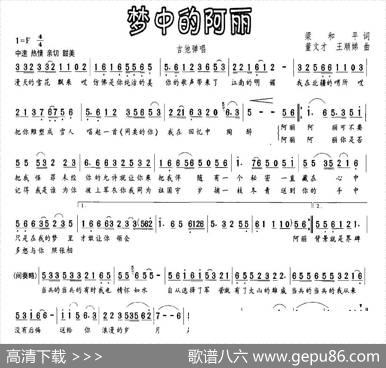 梦中的阿丽