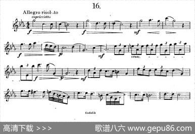 奇特克-萨克斯练习曲之16（ETUDYPROSAXOPHON-FRZITRK.op.3）