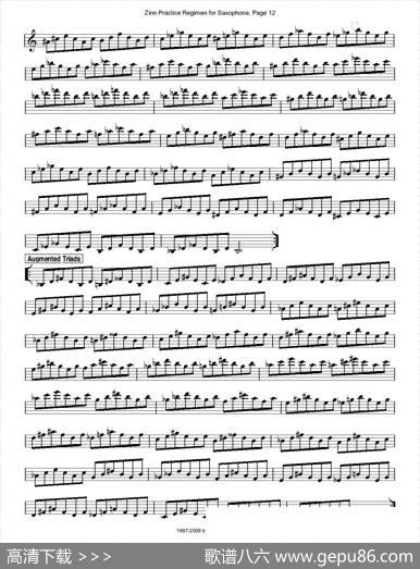 ZinnRegimenSax2009练习曲