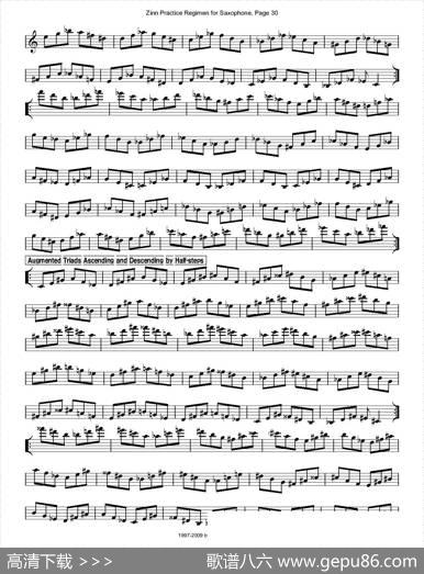 ZinnRegimenSax2009练习曲