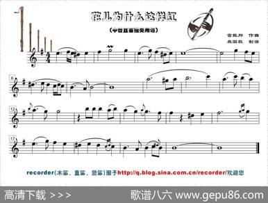 花儿为什么这样红（中音直笛谱）