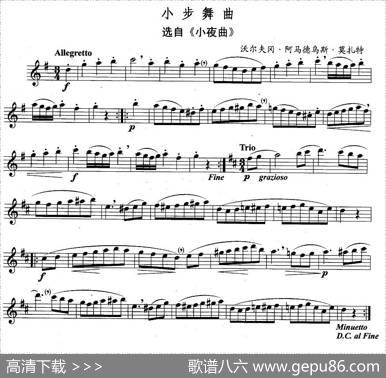 小步舞曲（选自《小夜曲》）（独奏部分）