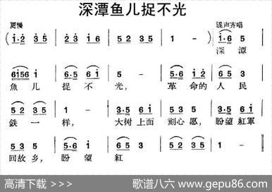 深潭鱼儿捉不光