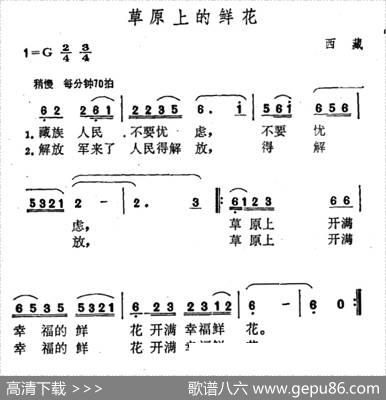 草原上的鲜花（西藏民歌）