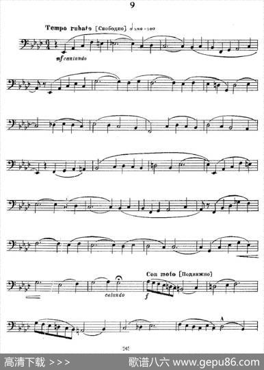 瓦西里耶夫24首大号练习曲集（7—12）