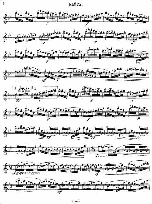 Die-Mühle-Op.55-No.4-长笛五线谱|长笛谱