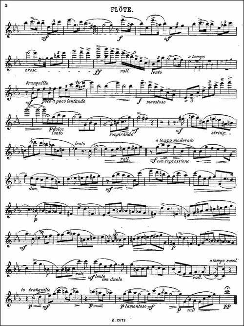 Legende-Op.55-No.5-长笛五线谱|长笛谱