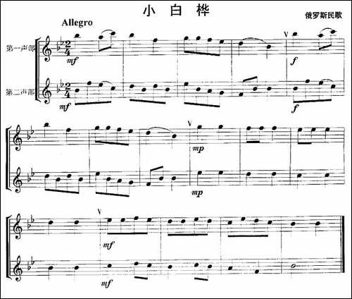 小白桦-重奏-长笛五线谱|长笛谱