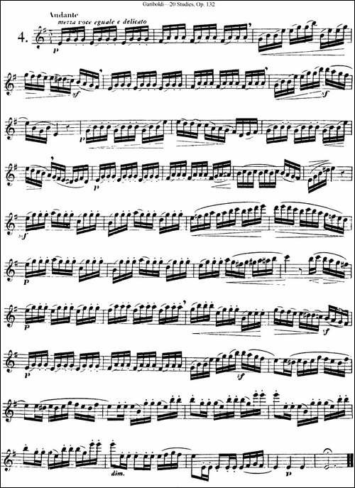 二十首练习曲作品132号之4-长笛五线谱|长笛谱