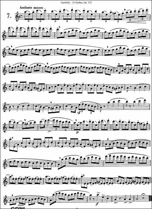 二十首练习曲作品132号之7-长笛五线谱|长笛谱