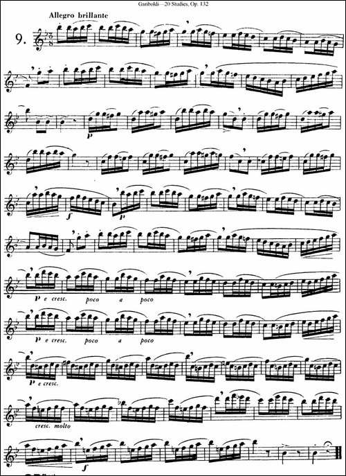 二十首练习曲作品132号之9-长笛五线谱|长笛谱