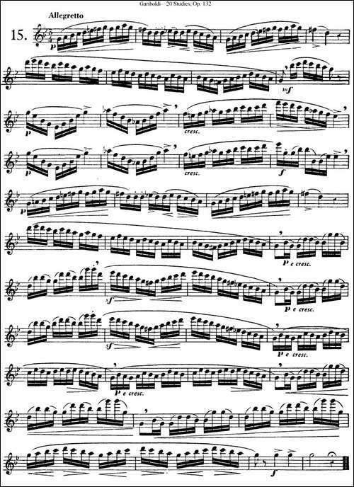 二十首练习曲作品132号之15-长笛五线谱|长笛谱