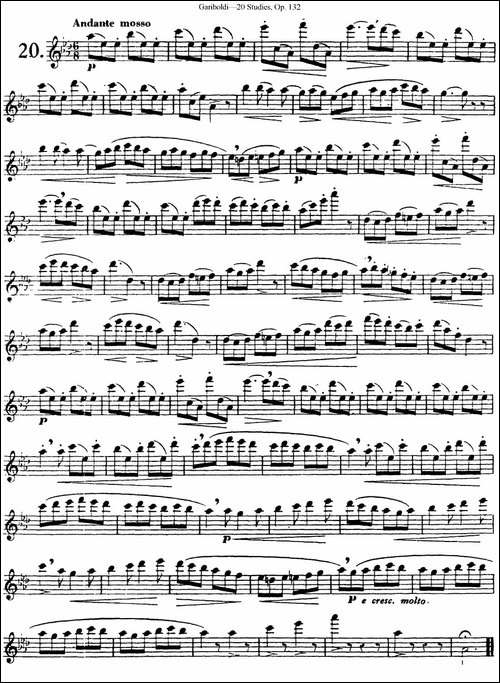 二十首练习曲作品132号之20-长笛五线谱|长笛谱