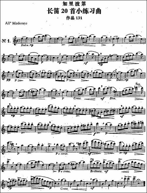 二十首练习曲作品131号-NO.1-长笛五线谱|长笛谱