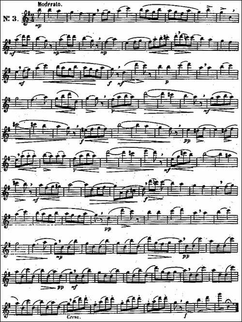 二十首练习曲作品131号-NO.3-长笛五线谱|长笛谱