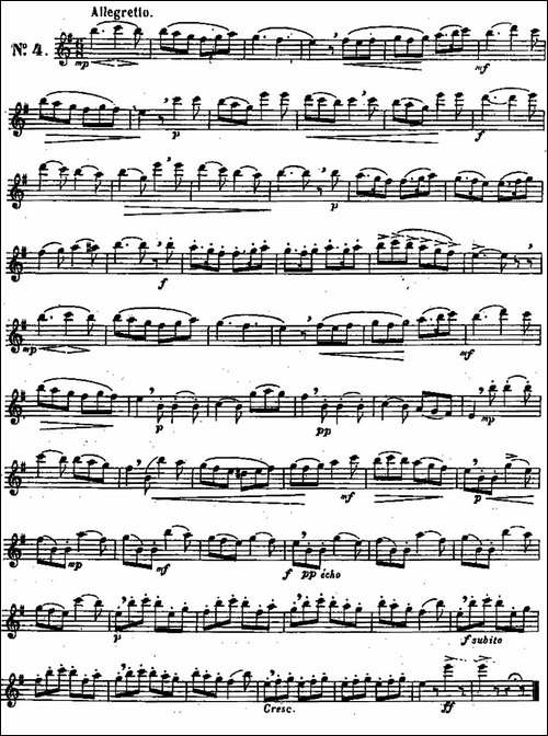 二十首练习曲作品131号-NO.4-长笛五线谱|长笛谱