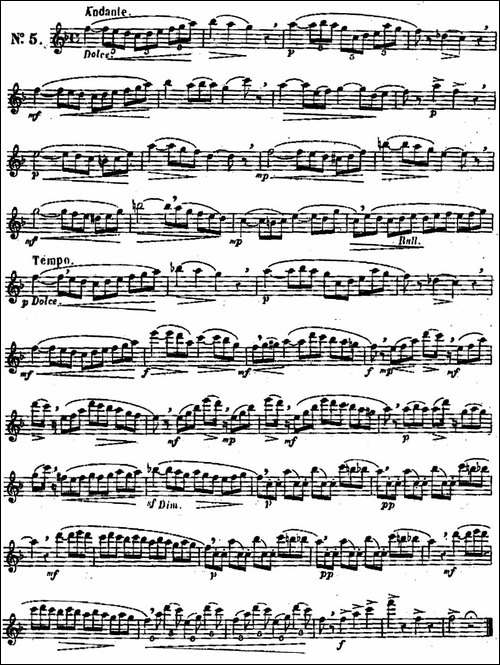 二十首练习曲作品131号-NO.5-长笛五线谱|长笛谱