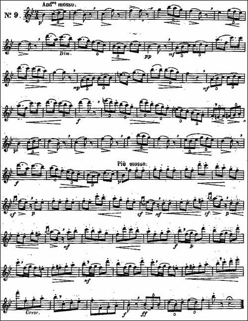 二十首练习曲作品131号-NO.9-长笛五线谱|长笛谱