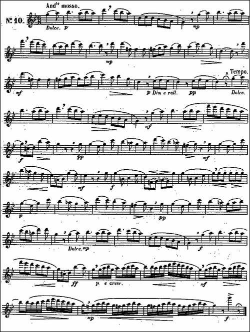 二十首练习曲作品131号-NO.10-长笛五线谱|长笛谱