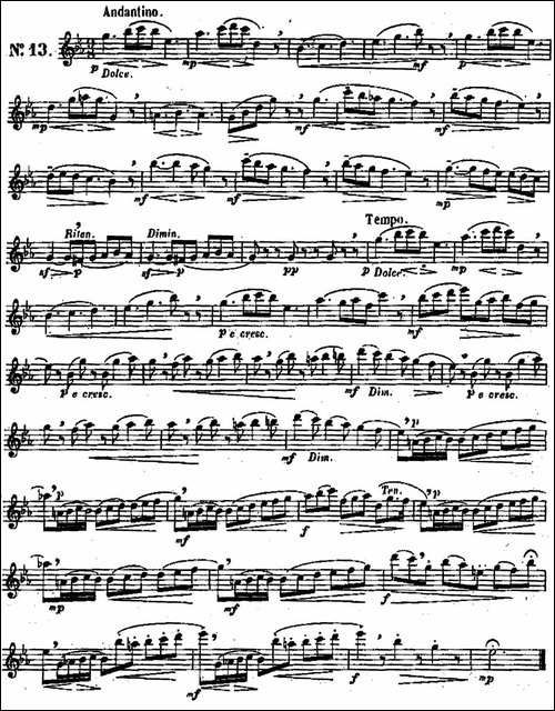二十首练习曲作品131号-NO.13-长笛五线谱|长笛谱