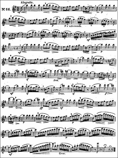 二十首练习曲作品131号-NO.16-长笛五线谱|长笛谱