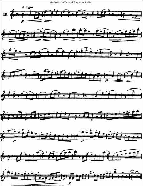 三十首基础及提高练习曲-NO.16-长笛五线谱|长笛谱