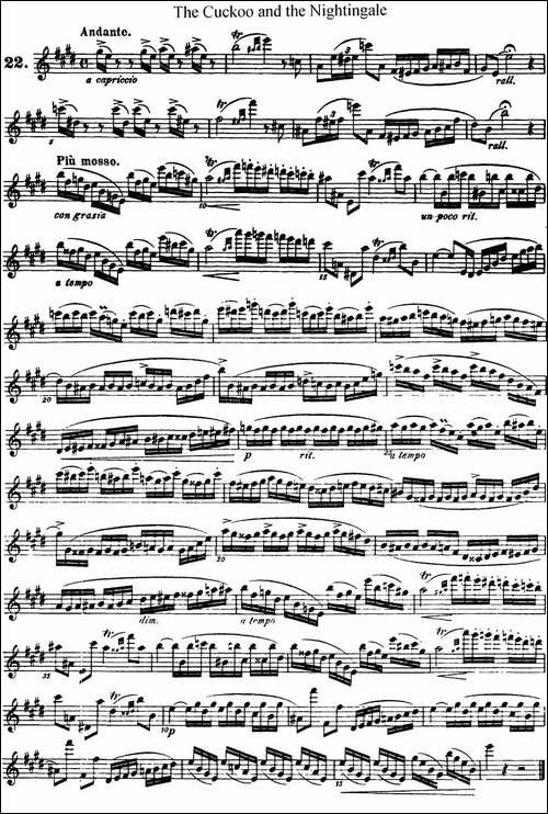 柯勒25首浪漫长笛练习曲作品66号-NO.22-长笛五线谱|长笛谱