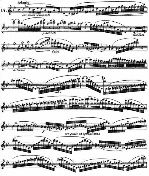 柯勒30首高级长笛练习曲作品75号-NO.14-长笛五线谱|长笛谱