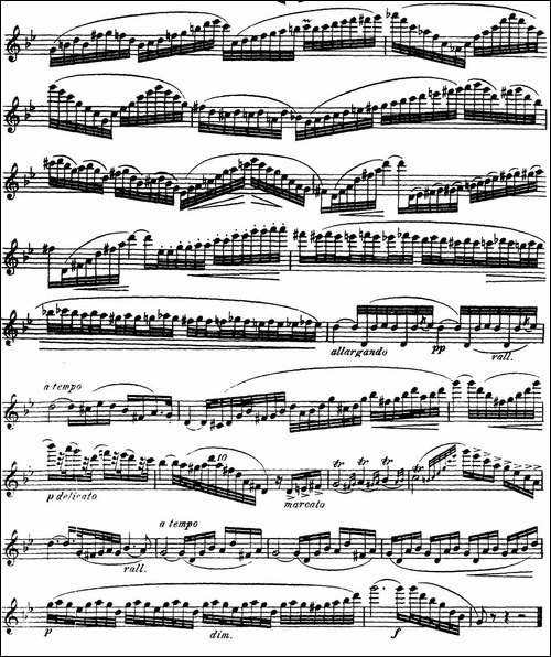 柯勒30首高级长笛练习曲作品75号-NO.14-长笛五线谱|长笛谱