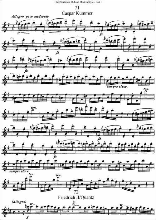 斯勒新老风格长笛练习重奏曲-第一-NO.71-NO.73-长笛五线谱|长笛谱