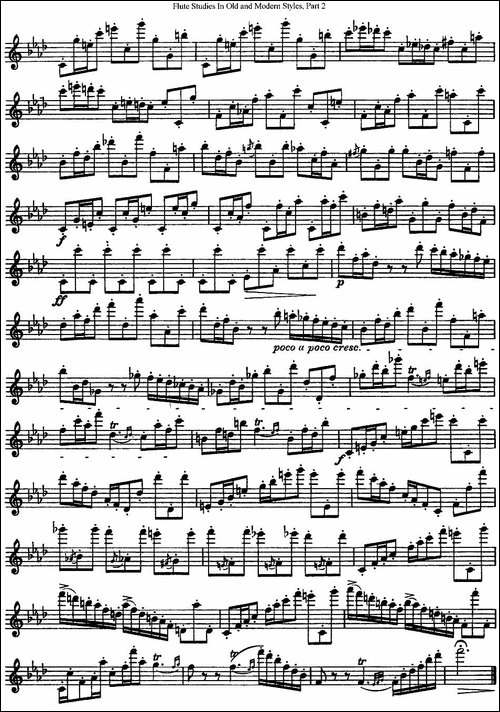 斯勒新老风格长笛练习重奏曲-第二-NO.16-NO.17-长笛五线谱|长笛谱