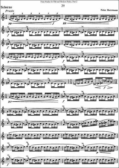 斯勒新老风格长笛练习重奏曲-第二-NO.29-长笛五线谱|长笛谱