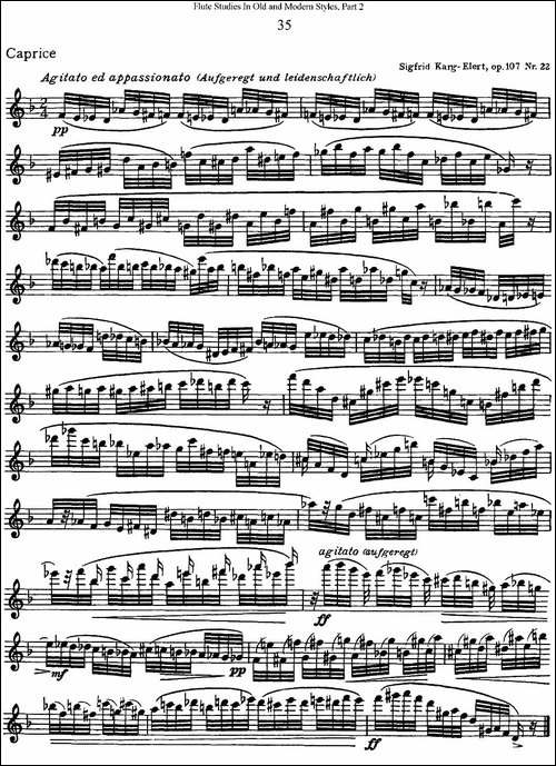 斯勒新老风格长笛练习重奏曲-第二-NO.35-长笛五线谱|长笛谱