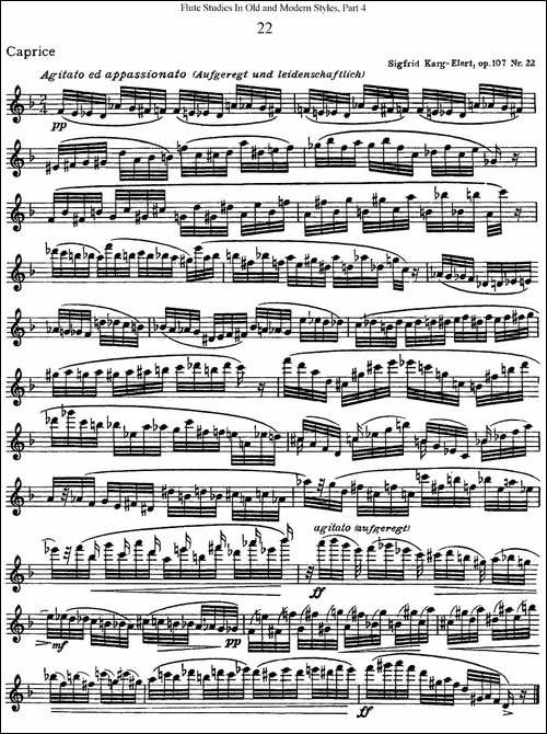 斯勒新老风格长笛练习重奏曲-第四-NO.22-长笛五线谱|长笛谱