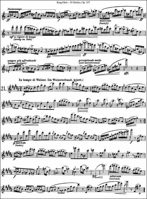 卡-伊勒特30首长笛练习曲Op.107-NO.19-NO.21-长笛五线谱|长笛谱