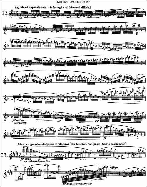 卡-伊勒特30首长笛练习曲Op.107-NO.22-NO.24-长笛五线谱|长笛谱